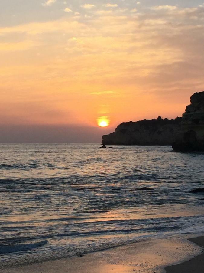 T3 Holiday Cottage Near The Beach | B111 ปอร์เชส ภายนอก รูปภาพ